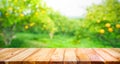 Wood table top with blur of orange garden farm in the morning.