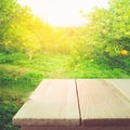 Wood table top with blur of orange garden in the morning. Royalty Free Stock Photo