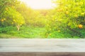 Wood table top with blur of orange garden in the morning. Royalty Free Stock Photo