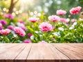 Wood table top on blur pink flower garden background Royalty Free Stock Photo