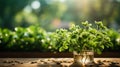 Wood table top on blur of window with garden flower background in morning. AI Generative Royalty Free Stock Photo