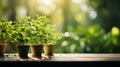 Wood table top on blur of window with garden flower background in morning. AI Generative Royalty Free Stock Photo