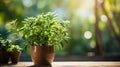 Wood table top on blur of window with garden flower background in morning. AI Generative Royalty Free Stock Photo