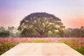 Wood table top on blured flower garden background.