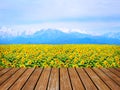 Wood table top over beautiful blooming yellow sunflower field with blue sky and mountain range background Royalty Free Stock Photo