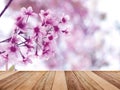 Wood table top over pink cherry blossoms flower in full bloom Royalty Free Stock Photo