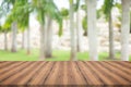 Wood table top on parm tree blurred background,for montage your Royalty Free Stock Photo