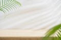 Wood table top podium blureed green leaf palm on white space nature background.Beauty cosmetic natural product display Royalty Free Stock Photo