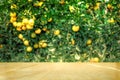 Wood table top on shiny sunlight with blur of orange garden in the morning Royalty Free Stock Photo