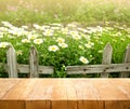 Wood table top on white flower with fence in garden background Royalty Free Stock Photo