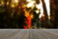 Wood terrace and Abstract blurred nature background Royalty Free Stock Photo