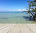 Wood Terrace on The Beach with Clear Sky and Blue Sea with Copy Space to input Text Royalty Free Stock Photo