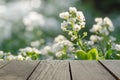 Wood terrace and green grass field in morning time use as natura Royalty Free Stock Photo