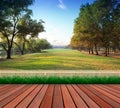 Wood terrace and green grass field public park use as natural ba Royalty Free Stock Photo