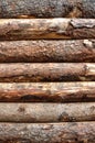 Wood texture Royalty Free Stock Photo