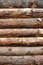 Wood texture