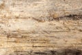 Wood texture