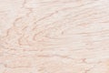 Wood texture abstract, background, light brown nature patterns Royalty Free Stock Photo