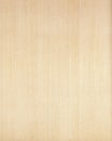 Wood texture background_beech_22