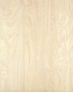 Wood texture background birch_10 Royalty Free Stock Photo