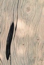 Wood texture background