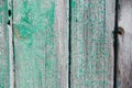 Wood texture, background with copy space. Old wooden barn green or emerald