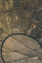 Wood texture and background. Cut tree trunk background in vintage style. Tree trunk close up. Macro view of cut tree trunk texture Royalty Free Stock Photo