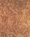Wood texture background_elm_33