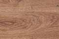 The wood texture background, light weathered rustic oak. faded wooden varnished paint showing grain texture. hardwood washed plank