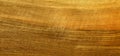 Wood texture background