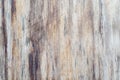 Wood texture background.old wood, floor, wall, door use for background. Royalty Free Stock Photo