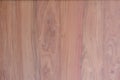 Wood texture and background panel. Royalty Free Stock Photo