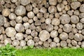 Wood texture background