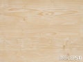 Wood texture background