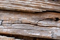 Wood Texture Background with a Rusty Nail Royalty Free Stock Photo