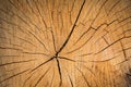 Wood texture background surface. Royalty Free Stock Photo