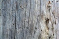 Wood Texture Background. The Surface Of Old Knotted Wood With The Nature Of Color, Texture And Pattern. Top View. Gray Rustic