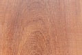 Wood texture background surface with old natural pattern. long walnut planks texture background