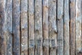 Wood texture background. View of vintage wooden door with cracks. Light brown surface of old knotted wood with natural color, Royalty Free Stock Photo