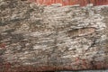 Wood texture background, wooden panels close up. Grunge textured image. Vertical stripes Royalty Free Stock Photo