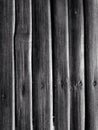Wood texture - Bamboo Royalty Free Stock Photo