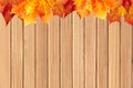 Wood texture with bright autumn maple leaves Royalty Free Stock Photo