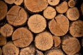 Wood texture. Brown logs. Background of a tree in a cut.Gardening.