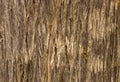 Wood texture brown Royalty Free Stock Photo