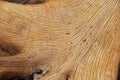 Wood texture Royalty Free Stock Photo