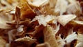 Wood texture close up of oak wood chips and sawdust