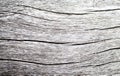 Wood texture closeup photo. White timber board with weathered crack lines. Royalty Free Stock Photo