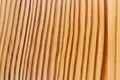 Wood Texture, Curved Regular Lines Royalty Free Stock Photo