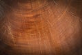 Wood texture of cut tree trunk for background Royalty Free Stock Photo