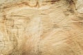 Wood texture of cut tree trunk, Tree rings old weathered wood texture with the cross section of a cut log